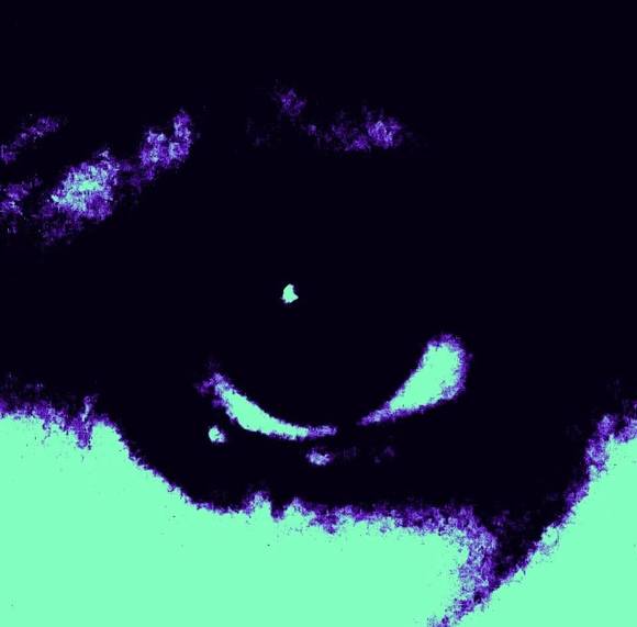 Meet your Posher, Kathy - Picture 1 of 1